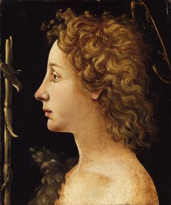 Genç Aziz John the Baptist (ahşap üzerine tempera ve yağ) by Piero di Cosimo