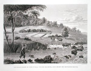 New South Wales, New Holland: Louis Claude Desaulses de Freycinet (1779-1842) tarafından 
