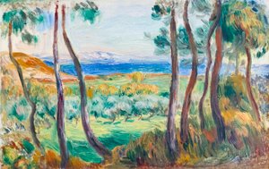 Cagnes yakınlarındaki çamlar, c. 1910 (tuval üzerine yağlı boya) by Pierre-Auguste Renoir