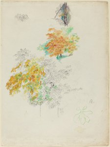 Ağaç Çalışmaları, 1886. by Pierre Auguste Renoir