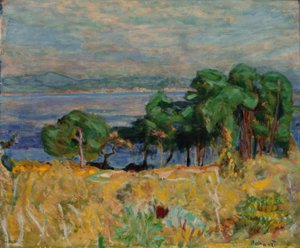 Saint-Tropez Körfezi by Pierre Bonnard