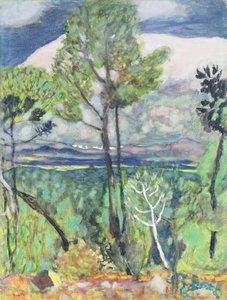 Manzara by Pierre Bonnard