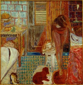 Banyo by Pierre Bonnard