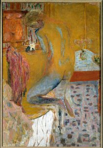 Kadının tuvaleti var by Pierre Bonnard