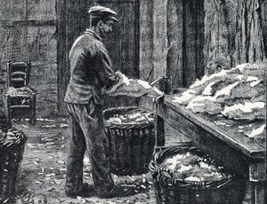 Deri: Pierre Calmette Özel Koleksiyonu "Excursion a travers les metiers"den deri işlemek için tavşan derilerinin yarılması by Pierre Calmettes
