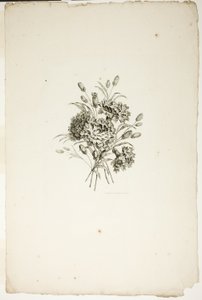 Farklı Çiçek Buketleri Koleksiyonundan Karanfilli Buket, Jean Pillement tarafından icat edilip çizilmiş ve P. C. Canot tarafından oyulmuş by Pierre Charles Canot