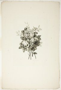 Farklı Çiçek Buketleri Koleksiyonundan Gül Buketi, Jean Pillement tarafından icat edilip çizilmiş ve P. C. Canot tarafından oyulmuş by Pierre Charles Canot