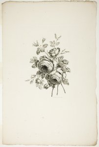 Farklı Çiçek Buketleri Koleksiyonundan Gül Buketi, Jean Pillement tarafından icat edilip çizilmiş ve P. C. Canot tarafından oyulmuş by Pierre Charles Canot
