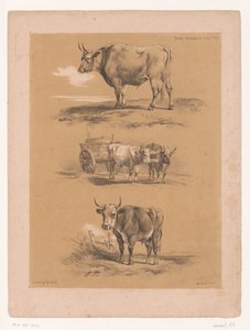 Üç öküz ve öküz arabası çalışması Cooper'dan hayvan çalışmaları (seri başlığı) Études d'Animaux de Cooper (nesne üzerinde seri başlığı)
