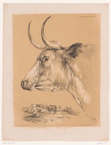 Cooper'ın Sığır Hayvan Çalışmaları Üzerine Çalışması (dizi başlığı) Études d'Animaux de Cooper (nesne üzerine dizi başlığı) by Pierre Frédéric Lehnert