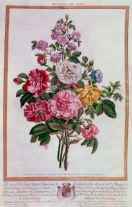 Gül buketi Pierre Joseph Buchoz (1731-1807) tarafından Litografi 18. yüzyıl Paris, B.N. by Pierre Joseph Buchoz