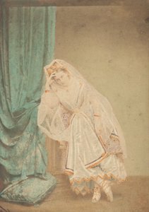 [Judith gibi Altın Pike Giydiren Kontes], 1860