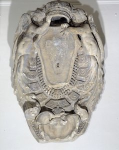 Kralın kolları, Louis XIV (1638-1715) (mermer)