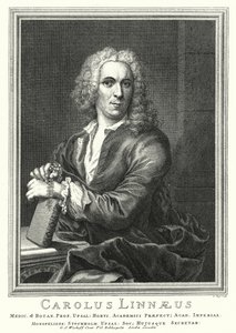 Carl Linnaeus, İsveçli botanikçi ve zoolog (gravür)