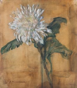 Krizantem by Piet Mondrian