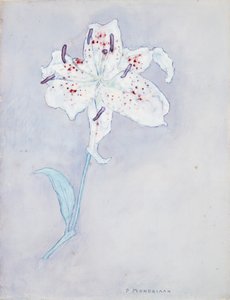Lily, c.1920-25 (kağıt üzerine sulu boya) by Piet Mondrian