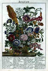Ağustos, Robert Furber (c.1674-1756) tarafından 