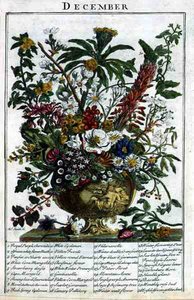 Aralık, Robert Furber