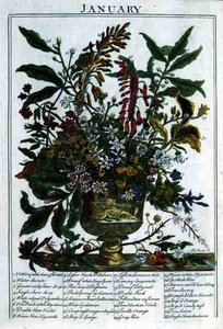 Ocak, Robert Furber (c.1674-1756) tarafından 
