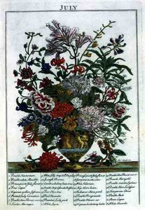 Temmuz, Robert Furber (c.1674-1756) tarafından 