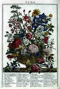 Haziran, Robert Furber (c.1674-1756) tarafından 