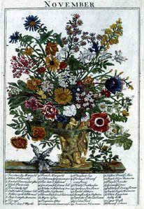 Kasım, Robert Furber (c.1674-1756) tarafından 