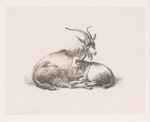 Buck ve bir keçi by Pieter Bartholomeusz. Barbiers