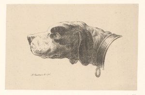 Yakalı köpek kafası by Pieter Bartholomeusz. Barbiers