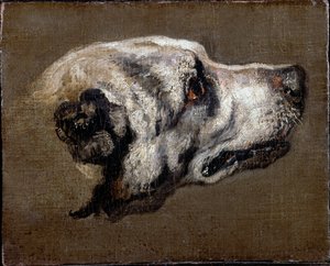 Bir Hound Başkanı