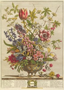 Şubat, Robert Furber (c.1674-1756) tarafından 