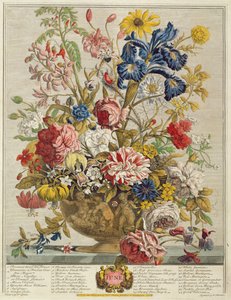 Haziran, Robert Furber