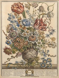 Mart, Robert Furber