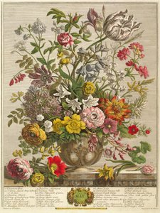 May, Robert Furber