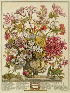 Ekim, Robert Furber
