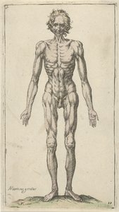 Çıplak bir adamın incelenmesi Anatomik çalışmalar (dizi adı)