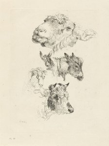 Koyun, at, eşek, koç ve boğa başlı çalışma sayfası by Pieter Gerardus van Os