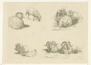 Koyun ve keçilerle dört performans Koyun ve keçiler (dizi adı) by Pieter Gerardus van Os
