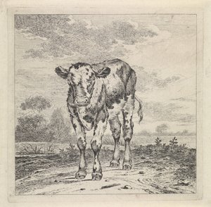 buzağı ile manzara by Pieter Janson
