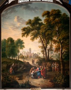 Doğuştan Kör Adamın İyileştirilmesi by Pieter Norbert van Reysschoot
