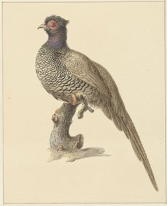 sülün avı by Pieter Pietersz. Barbiers