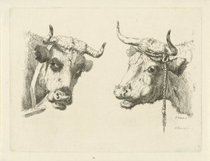 İki inek başı by Pieter Roosing