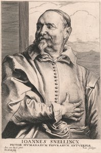 Joannes Snellincx, Antwerp İnsan Figürleri Ressamı