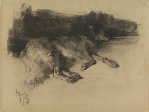Yalan, uyuyan köpek