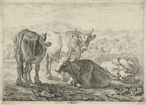 by Pieter van Laer