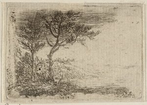  by Pieter van Laer