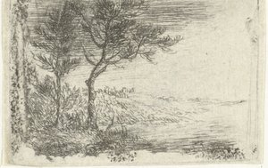  by Pieter van Laer