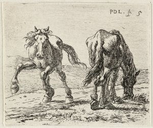  by Pieter van Laer