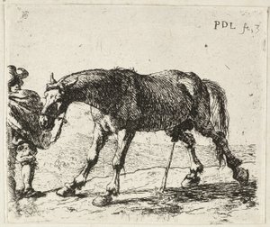  by Pieter van Laer
