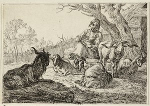  by Pieter van Laer