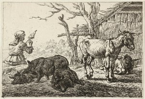  by Pieter van Laer